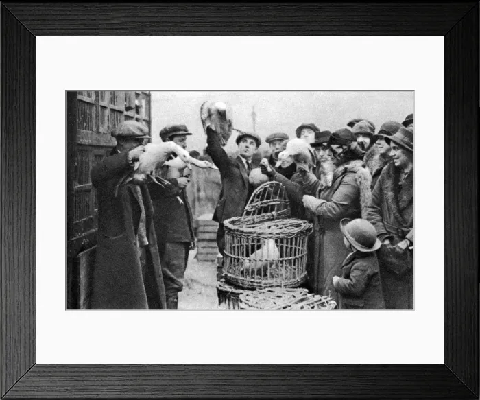 Framed Print : Poultry merchants, Caledonian Market, London, 1926-1927 Framed Print : Poultry merchants, Caledonian Market, London, 1926-1927