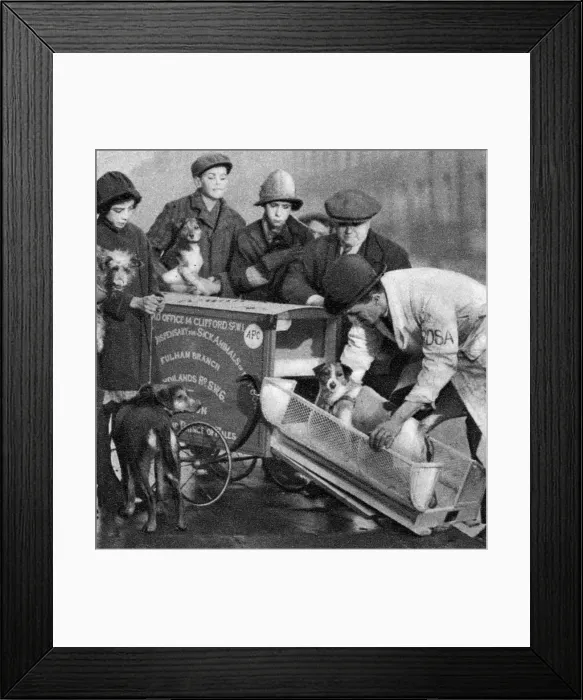Framed Print : Ambulance of the Dispensary for Sick Animals of the Poor, London, 1926-1927 Framed Print : Ambulance of the Dispensary for Sick Animals of the Poor, London, 1926-1927
