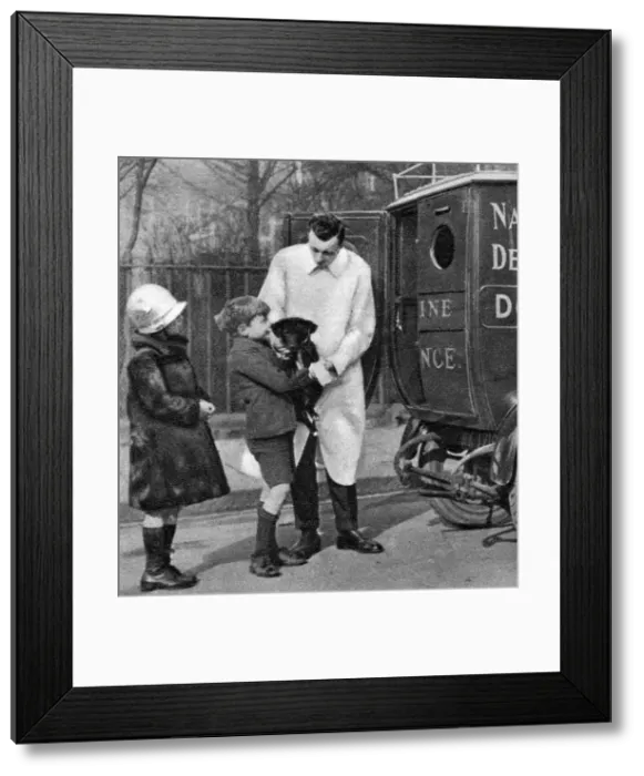 Framed Print : Ambulance of the National Canine Defence League, London, 1926-1927 Framed Print : Ambulance of the National Canine Defence League, London, 1926-1927
