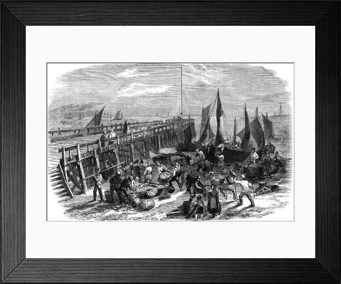 Framed Print : Return of the herring boats, Yarmouth, Isle of Wight, 1856. Artist: NR Woods Framed Print : Return of the herring boats, Yarmouth, Isle of Wight, 1856. Artist: NR Woods