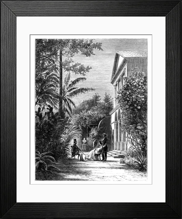 Framed Print : The garden of a city house, 19th century. Artist: H Stock Framed Print : The garden of a city house, 19th century. Artist: H Stock