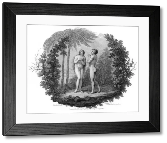 Framed Print : Adam and Eve, 1796. Artist: Francesco Bartolozzi Framed Print : Adam and Eve, 1796. Artist: Francesco Bartolozzi
