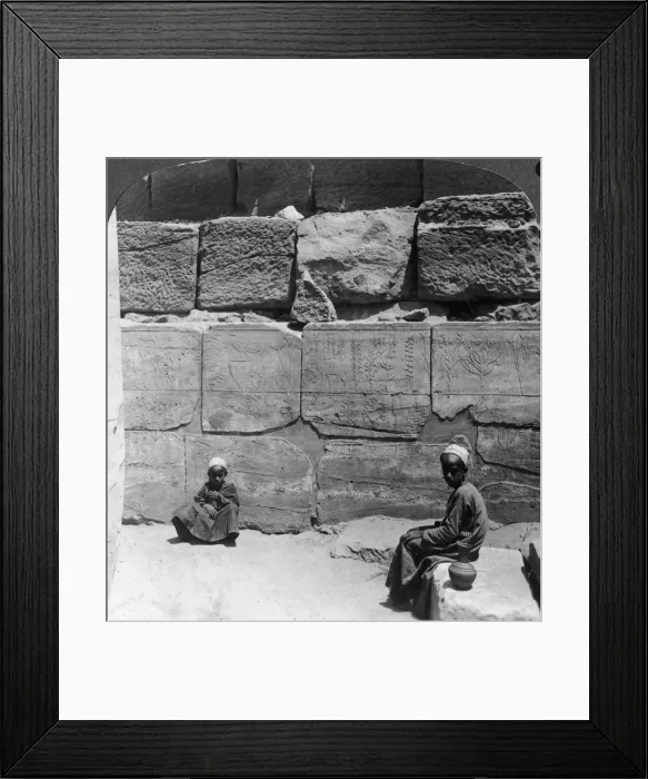 Framed Print : Plants and animals brought from Syria by the Pharaohs, temple of Karnak, Egypt, 1905. Artist: Underwood & Underwood Framed Print : Plants and animals brought from Syria by the Pharaohs, temple of Karnak, Egypt, 1905. Artist: Underwood & Underwood