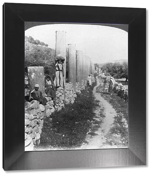 Herods street of columns, Samaria, Palestine (Israel), 1905. Artist: Underwood & Underwood