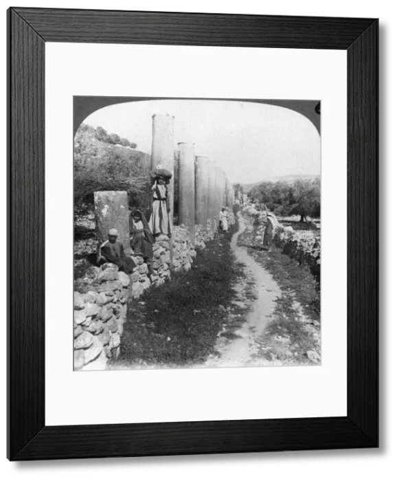 Framed Print : Herods street of columns, Samaria, Palestine (Israel), 1905. Artist: Underwood & Underwood Framed Print : Herods street of columns, Samaria, Palestine (Israel), 1905. Artist: Underwood & Underwood