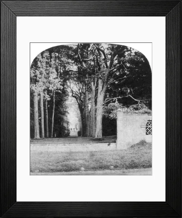 Framed Print : The Avenue, Guys Cliff, Warwick, early 20th century Framed Print : The Avenue, Guys Cliff, Warwick, early 20th century