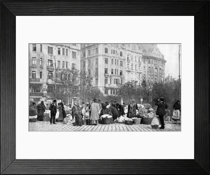Framed Print : Great market of flowers, Budapest, Hungary, 1922. Artist: AW Cutler Framed Print : Great market of flowers, Budapest, Hungary, 1922. Artist: AW Cutler