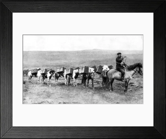 Framed Print : A mail caravan crossing the Icelandic plains, Iceland, 1922 Framed Print : A mail caravan crossing the Icelandic plains, Iceland, 1922