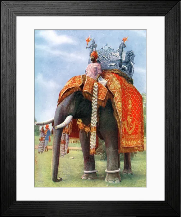 Framed Print : A majestic elephant at Bengals chief festive gathering, India, 1922. Artist: L Barber Framed Print : A majestic elephant at Bengals chief festive gathering, India, 1922. Artist: L Barber