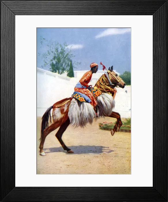 Framed Print : An Arab dancing horse, Udaipur, India, 1922. Artist: Herbert Ponting Framed Print : An Arab dancing horse, Udaipur, India, 1922. Artist: Herbert Ponting