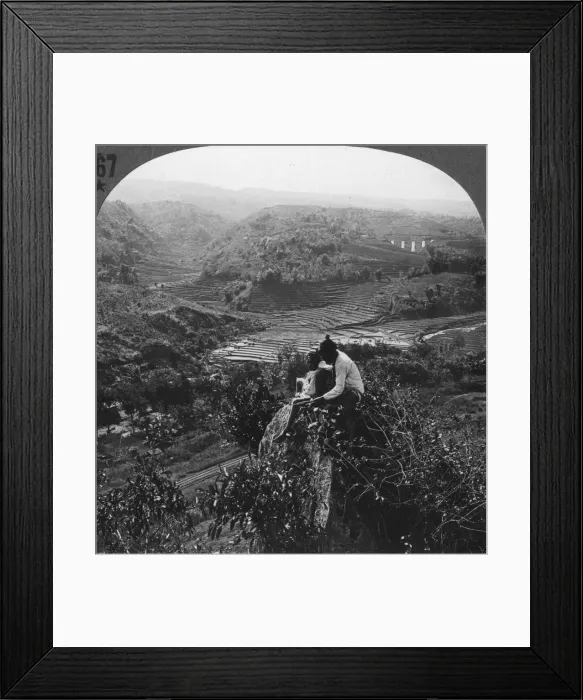 Framed Print : Java, Indonesia, c1900s Framed Print : Java, Indonesia, c1900s