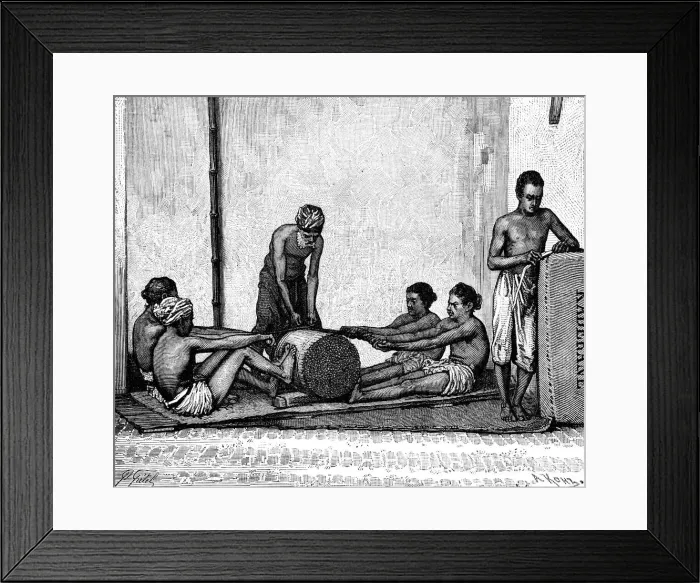 Framed Print : Cinnamon packing, India, 1895. Artist: Armand Kohl Framed Print : Cinnamon packing, India, 1895. Artist: Armand Kohl