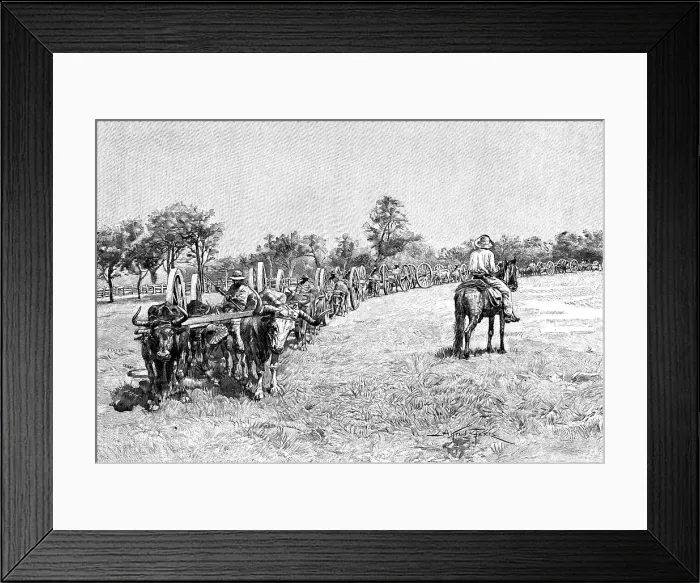 Framed Print : A convoy of wagons, South America, 1895 Framed Print : A convoy of wagons, South America, 1895