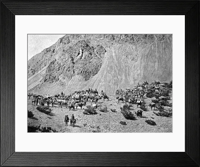 Framed Print : Convoy of muleteers at the foot of the Cordillera, South America, 1895 Framed Print : Convoy of muleteers at the foot of the Cordillera, South America, 1895