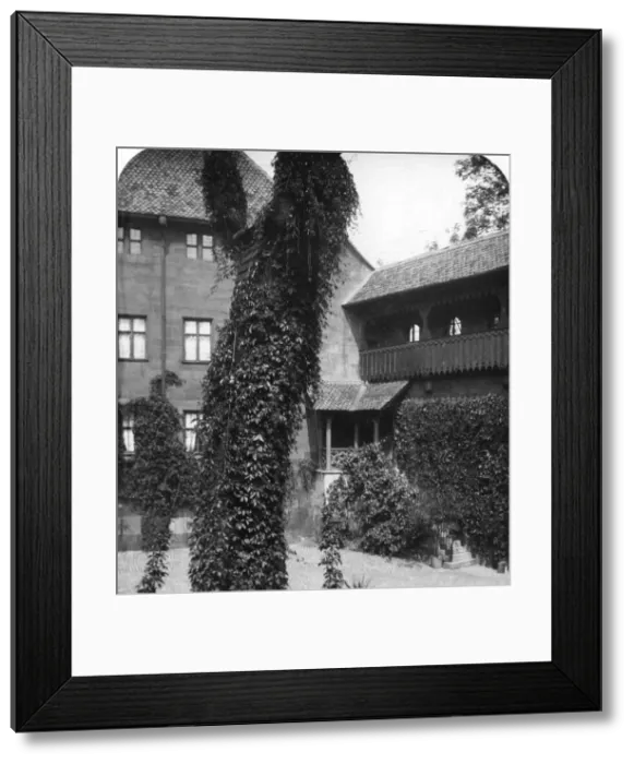 Framed Print : Lime tree in a courtyard, Nuremberg, Bavaria, Germany, c1900s. Artist: Wurthle & Sons Framed Print : Lime tree in a courtyard, Nuremberg, Bavaria, Germany, c1900s. Artist: Wurthle & Sons