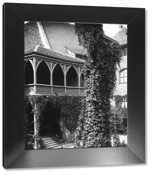 Lime tree in a courtyard, Nuremberg, Bavaria, Germany, c1900s. Artist: Wurthle & Sons
