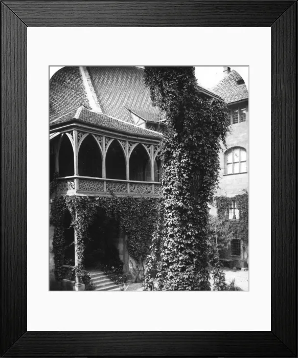 Framed Print : Lime tree in a courtyard, Nuremberg, Bavaria, Germany, c1900s. Artist: Wurthle & Sons Framed Print : Lime tree in a courtyard, Nuremberg, Bavaria, Germany, c1900s. Artist: Wurthle & Sons