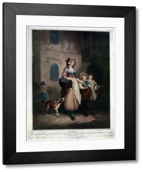 Framed Print : Two Bunches a Penny, Primroses, Two Bunches a Penny, 1793, (1929). Artist: Luigi Schiavonetti Framed Print : Two Bunches a Penny, Primroses, Two Bunches a Penny, 1793, (1929). Artist: Luigi Schiavonetti