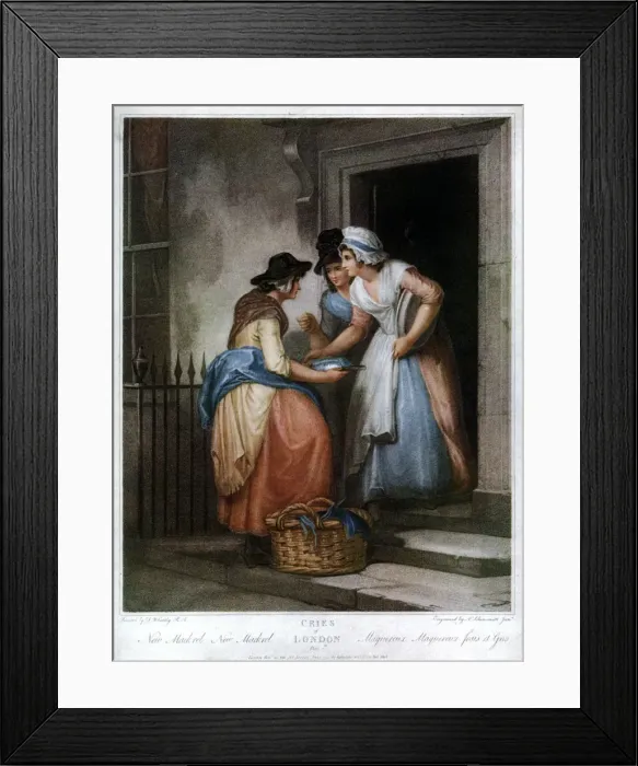 Framed Print : New Mackrel, New Mackrel, 1795, (1929). Artist: Nicolo Schiavonetti Framed Print : New Mackrel, New Mackrel, 1795, (1929). Artist: Nicolo Schiavonetti