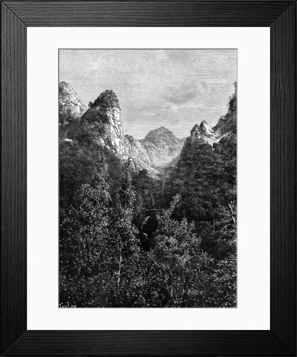 Framed Print : Madeira, Portugal, 1895. Artist: Taylor Framed Print : Madeira, Portugal, 1895. Artist: Taylor