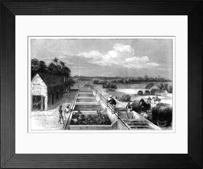 Framed Print : Manufacturing indigo in Tirhoot (Muzaffarpur), Lower Bengal, 1869 Framed Print : Manufacturing indigo in Tirhoot (Muzaffarpur), Lower Bengal, 1869