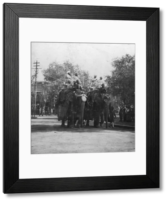 Framed Print : A Punjabi princess riding an elephant in a procession, Delhi, India, 1900s. Artist: H Hands & Son Framed Print : A Punjabi princess riding an elephant in a procession, Delhi, India, 1900s. Artist: H Hands & Son