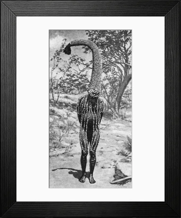 Framed Print : An emu man performing the sacred totem of his group, Australia, 1922. Artist: Spencer and Gillen Framed Print : An emu man performing the sacred totem of his group, Australia, 1922. Artist: Spencer and Gillen