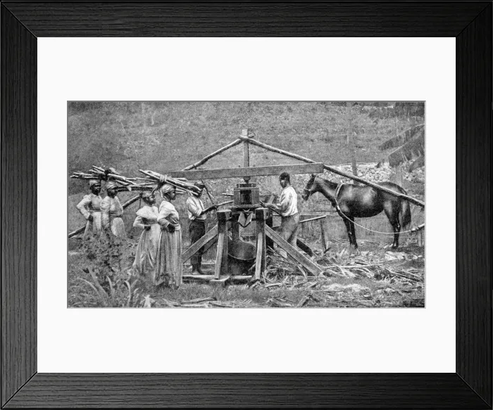 Framed Print : A wooden, horse-powered suger cane crushing mill, West Indies, 1922