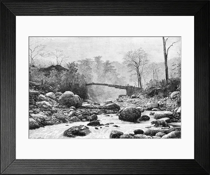 Framed Print : A bridge over the Rangit, a tributary of the river Teesta, India, 1895 Framed Print : A bridge over the Rangit, a tributary of the river Teesta, India, 1895