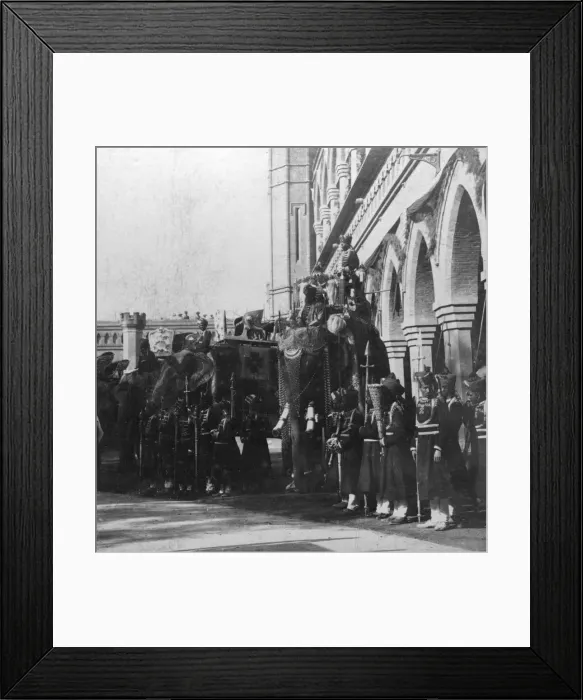 Framed Print : The viceroys elephant, Delhi, India, 1900s. Artist: H Hands & Son Framed Print : The viceroys elephant, Delhi, India, 1900s. Artist: H Hands & Son