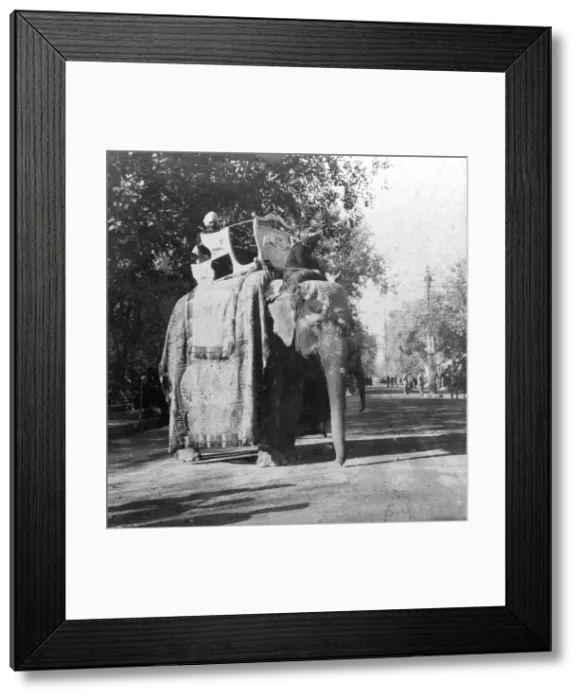 Framed Print : An elephant outside the railway station at Delhi, India, 1900s. Artist: H Hands & Son Framed Print : An elephant outside the railway station at Delhi, India, 1900s. Artist: H Hands & Son