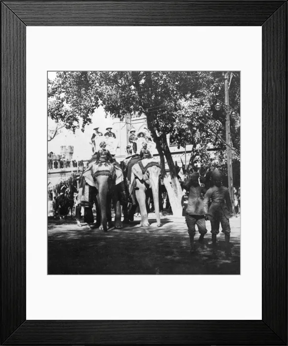 Framed Print : Viceregal staff and his daughter taking part in the elephant procession, Delhi, India, 1900s. Artist: H Hands & Son Framed Print : Viceregal staff and his daughter taking part in the elephant procession, Delhi, India, 1900s. Artist: H Hands & Son