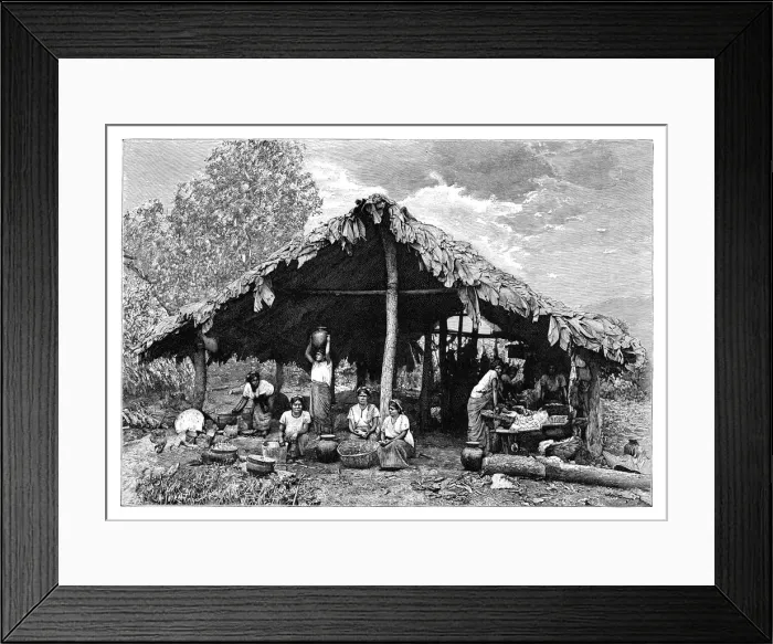 Framed Print : Indian women of the hot lands on the Pacific slope, Central America, c1890. Artist: Henri Thiriat Framed Print : Indian women of the hot lands on the Pacific slope, Central America, c1890. Artist: Henri Thiriat