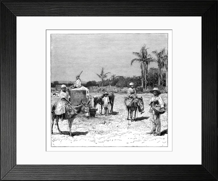 Framed Print : Group of Haitians, c1890 Framed Print : Group of Haitians, c1890