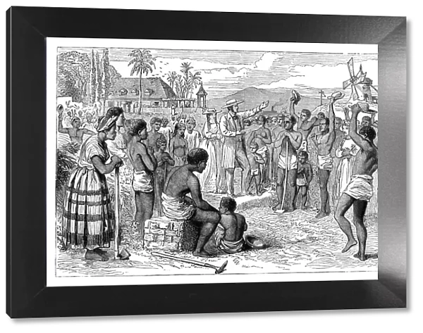 The emancipation of slaves on a West Indian plantation, early 19th century (c1895)