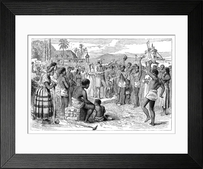 Framed Print : The emancipation of slaves on a West Indian plantation, early 19th century (c1895) Framed Print : The emancipation of slaves on a West Indian plantation, early 19th century (c1895)