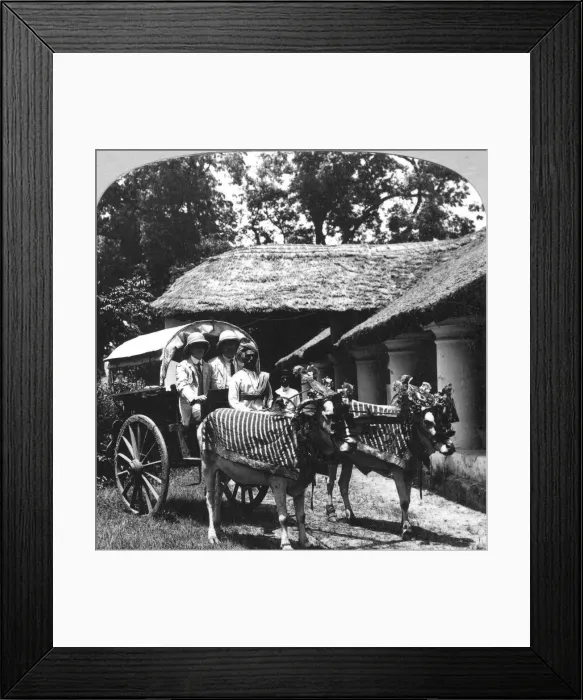 Framed Print : Leaving the dak bungalow for a bile-gharry, Belgaum district, southern India, 1900s. Artist: Realistic Framed Print : Leaving the dak bungalow for a bile-gharry, Belgaum district, southern India, 1900s. Artist: Realistic