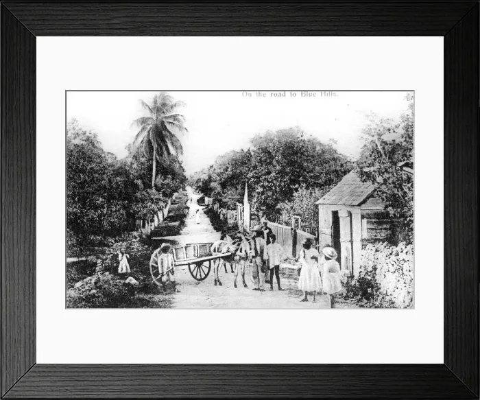 Framed Print : On the road to Blue Hills, Bahamas, c1900s Framed Print : On the road to Blue Hills, Bahamas, c1900s