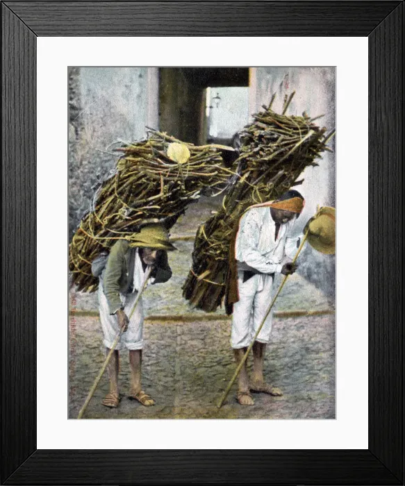 Framed Print : Two men carrying bundles of wood on their backs, Mexico, early 20th century Framed Print : Two men carrying bundles of wood on their backs, Mexico, early 20th century