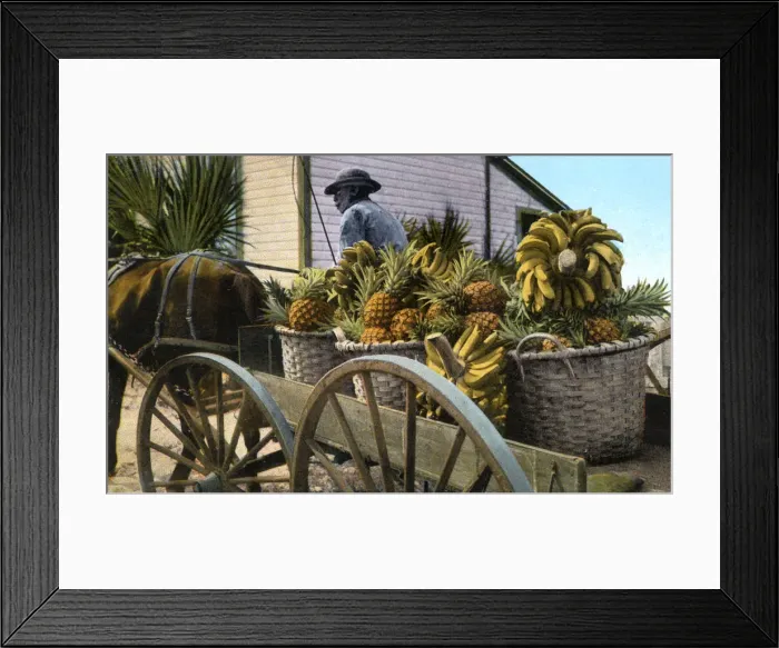 Framed Print : A fruit trader, Taboga Island, Panama, early 20th century Framed Print : A fruit trader, Taboga Island, Panama, early 20th century