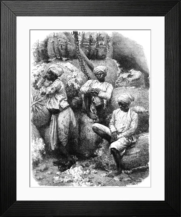 Framed Print : A cotton market in Bombay, India, 19th century
