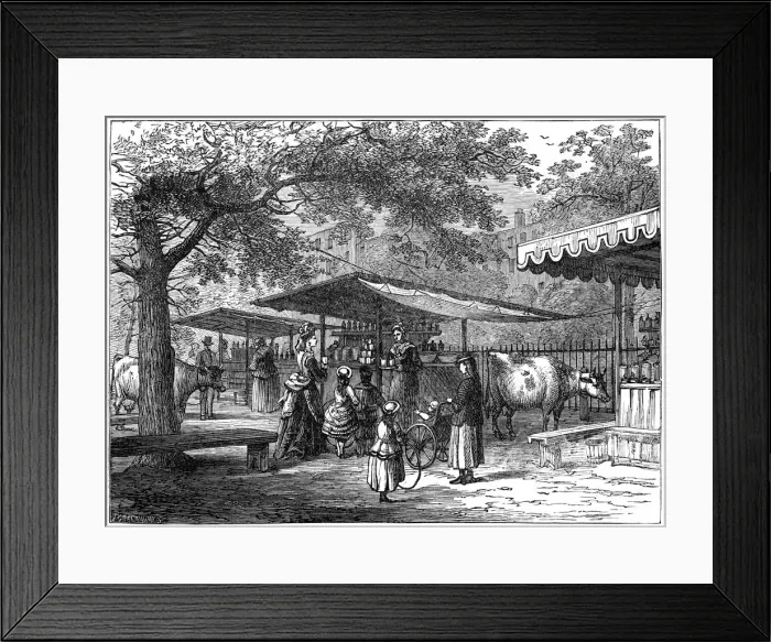 Framed Print : A milk fair, St Jamess Park, London, 1891. Artist: J Greenaway