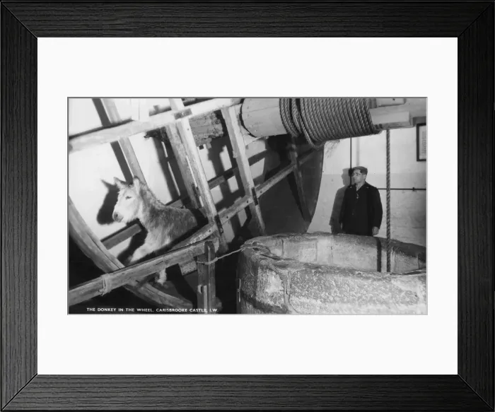Framed Print : The donkey in the wheel, Carisbrooke Castle, near Newport, Isle of Wight, 20th century Framed Print : The donkey in the wheel, Carisbrooke Castle, near Newport, Isle of Wight, 20th century