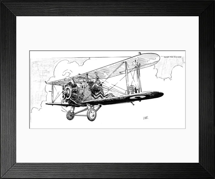 Framed Print : The Hawker Danecock aeroplane, c1920s. Artist: James Hay Stevens Framed Print : The Hawker Danecock aeroplane, c1920s. Artist: James Hay Stevens