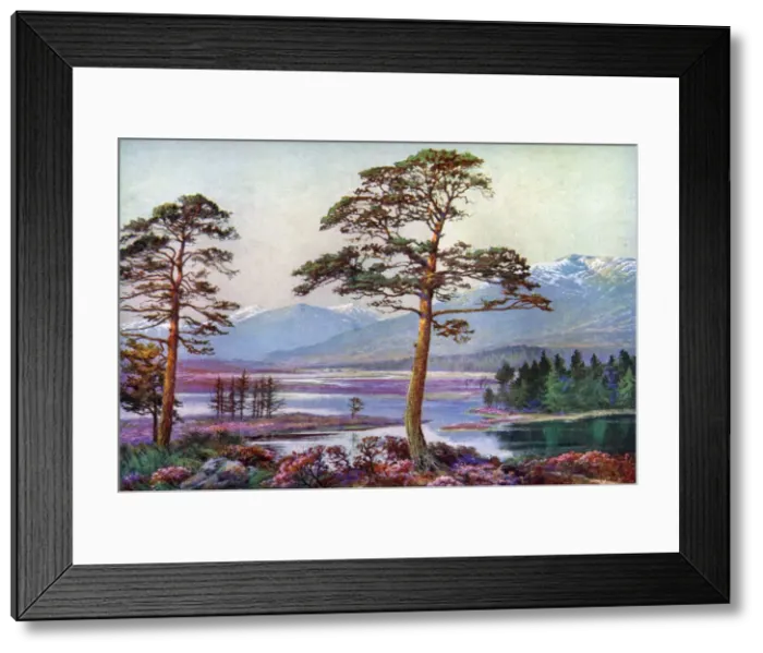 Framed Print : On Loch Tulla, Black Mount, Argyllshire, Scotland, 1924-1926. Artist: FC Varley Framed Print : On Loch Tulla, Black Mount, Argyllshire, Scotland, 1924-1926. Artist: FC Varley