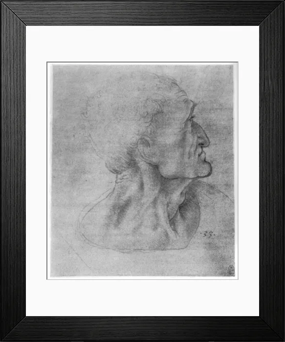 Framed Print : Study of Judas for The Last Supper, c1495 (1954). Artist: Leonardo da Vinci Framed Print : Study of Judas for The Last Supper, c1495 (1954). Artist: Leonardo da Vinci