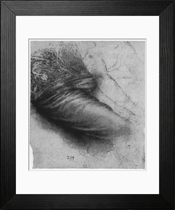 Framed Print : Study of a garment for St Anne, 1503-1517 (1954). Artist: Leonardo da Vinci Framed Print : Study of a garment for St Anne, 1503-1517 (1954). Artist: Leonardo da Vinci
