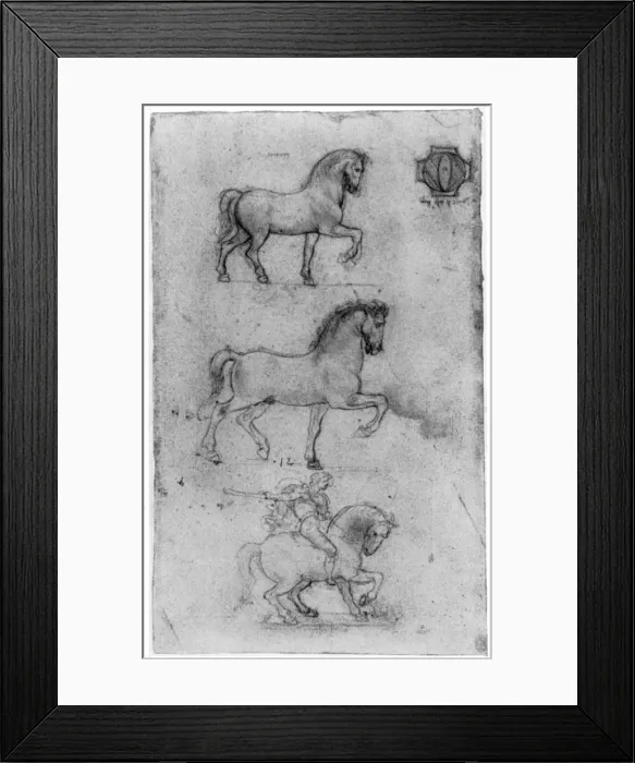Framed Print : Studies for the Trivulzio Monument, c1508 (1954). Artist: Leonardo da Vinci Framed Print : Studies for the Trivulzio Monument, c1508 (1954). Artist: Leonardo da Vinci