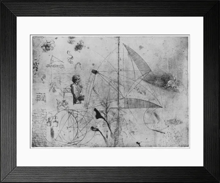 Framed Print : Sheet of studies, late 15th or early 16th century (1954). Artist: Leonardo da Vinci Framed Print : Sheet of studies, late 15th or early 16th century (1954). Artist: Leonardo da Vinci
