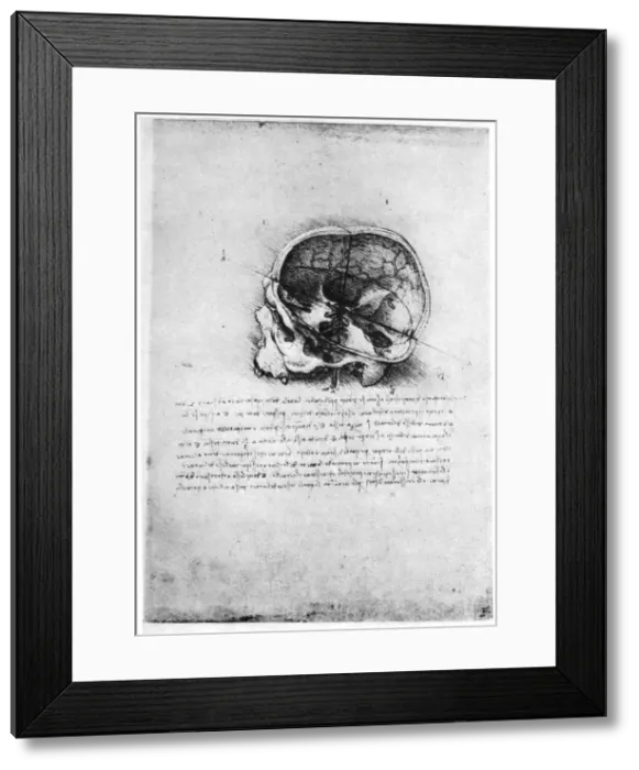 Framed Print : Study of a human skull, late 15th or early 16th century (1954). Artist: Leonardo da Vinci Framed Print : Study of a human skull, late 15th or early 16th century (1954). Artist: Leonardo da Vinci